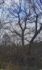 Перспективная ООПТ Урочище Плиты