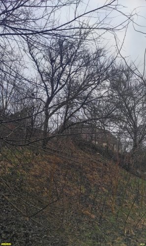 Перспективная ООПТ Урочище Плиты в северо-восточной и восточной частях граничит с жилой зоной посёлка Заречный