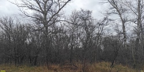 Перспективная ООПТ Урочище Плиты