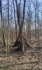 Перспективная ООПТ Восточно-Армавирская роща