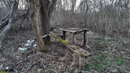 "Элементы благоустройсктва" в перспективной ООПТ Бугайский лес