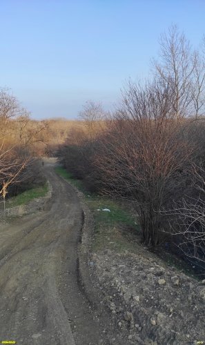 Перспективная ООПТ Заветный лес