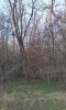 Перспективная ООПТ Заветный лес