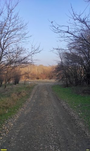 Перспективная ООПТ Заветный лес
