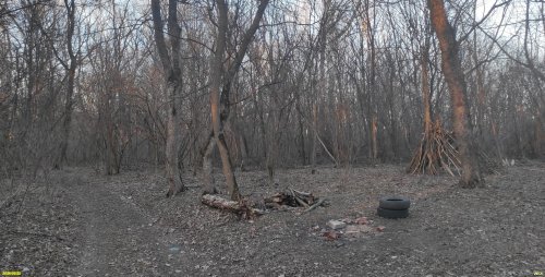 Перспективная ООПТ Заветный лес
