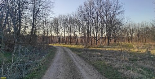 Перспективная ООПТ Первомайский лесопарк
