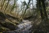 Водоток в перспективной ООПТ "Лес над селом Бжид"