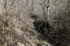 Временный водоток в перспективной ООПТ "Бжидский лес"