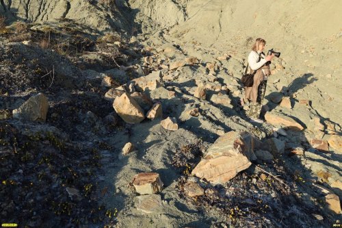 Тело оползня с валунами мергелистого песчаника и мать-и-мачеха (слева) в перспективной ООПТ "Инальский оползень"