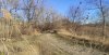 Коренной пойменный лес в перспективной ООПТ Юбилейный лес