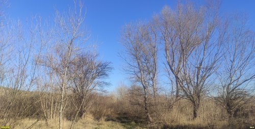 Перспективная ООПТ Юбилейный лес