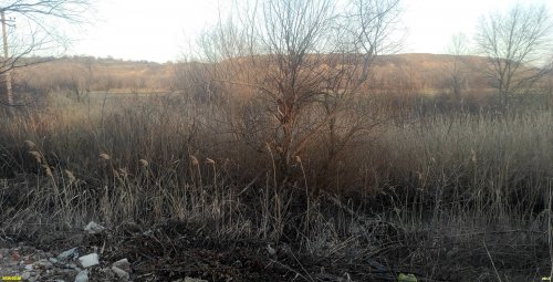 Перспективная ООПТ Краснополянский лес