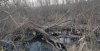 Перспективная ООПТ Краснополянский лес