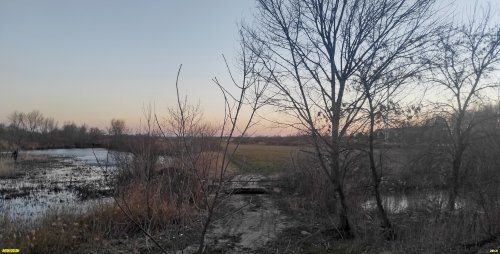 Кореннойпойменный лес в перспективной ООПТ Краснополянский лес