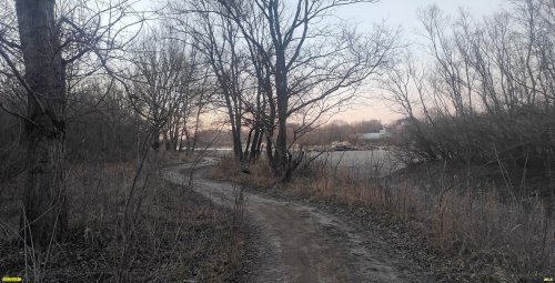 Перспективная ООПТ Краснополянский лес на левом берегу реки Кубань