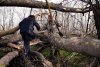 Преодоление бурелома в перспективной ООПТ Старомышастовская падина