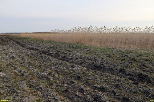 Окраина перспективной ООПТ Блохина падина