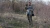 Обследование перспективной ООПТ Вольненская лесокустарниковая степь; растительные виды: яблоня восточная, шиповник, тёрн