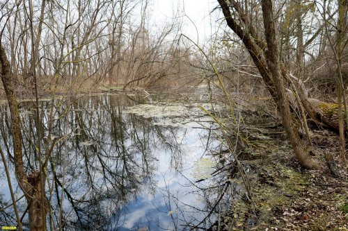 Река (балка) Синюга в перспективной ООПТ Балка Синюга
