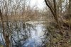 Река (балка) Синюга в перспективной ООПТ Балка Синюга