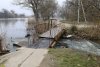 Дуб и вяз гладкий в перспективной ООПТ Палашкин лес