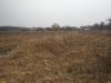 Перспективная ООПТ Красносельский пойменный луг