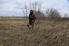 Обследование перспективной ООПТ Синюгинский косогор; древесные виды: вяз малый, дуб черешчатый