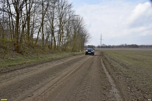 Лесополоса на окраине перспективной ООПТ Пеховское лесонасаждение