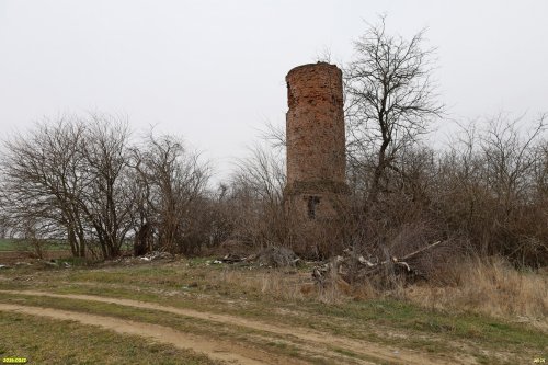 Каркас западный, гледичия трёхколючковая, шелковица в перспективной ООПТ Старая водонапорная башня
