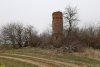 Каркас западный, гледичия трёхколючковая, шелковица в перспективной ООПТ Старая водонапорная башня