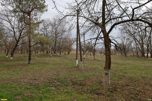 Перспективная зелёная зона в посёлке Кубань (1) 
