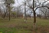 Перспективная зелёная зона в посёлке Кубань (1) 