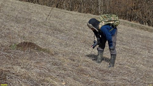 Координатор ЭВСК А.Рудомаха наблюдает большой живой муравейник в Балке Сушкова
