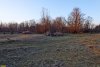 Природная территория в Псебайском ольховом лесу