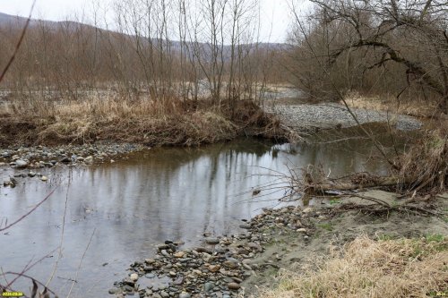 Река Малая Лаба в районе устья реки Шедок