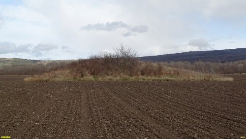 Мостовский курган
