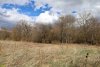 Природная территория Бесленеевский лес