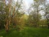 Перспективная ООПТ Северо-Тбилисский лесопарк 