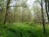 Перспективная ООПТ Расцветский лес (Кавказский район)
