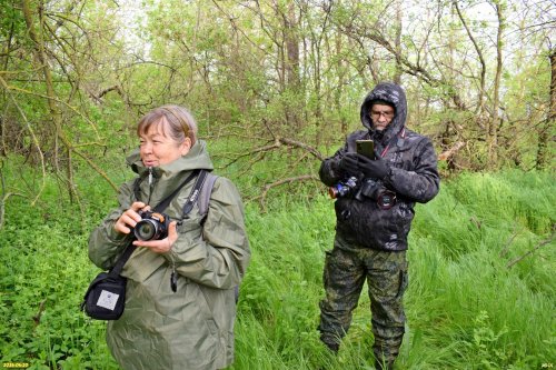 Обследование перспективной ООПТ Расцветский лес (Кавказский район)