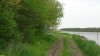 Перспективная ООПТ Камышевахкие лесокустарниковые рощи