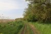Перспективная ООПТ Ловлинский лес