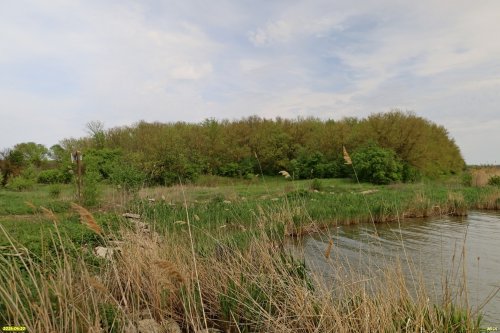 Перспективная ООПТ Ловлинский лес