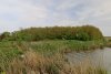 Перспективная ООПТ Ловлинский лес