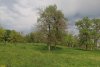 Перспективная ООПТ Ловлинский парк