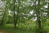 Перспективная ООПТ Ловлинский парк