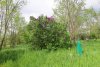 Перспективная ООПТ Ловлинский курган