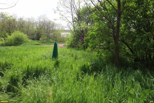 Перспективная ООПТ Ловлинский курган