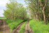 Перспективная ООПТ Берегобейсугская роща