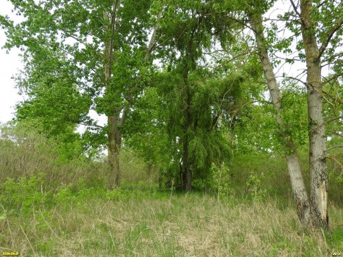 Перспективная ООПТ Каламбетский берег Кубани